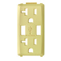 Leviton COMBINATION DEVICE SWITCH CORN SILK RENU USB CHGR 20A REC FACEPL RKAA2-CS